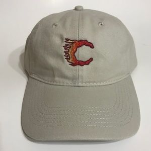 Letter Fire Dad Style hat.